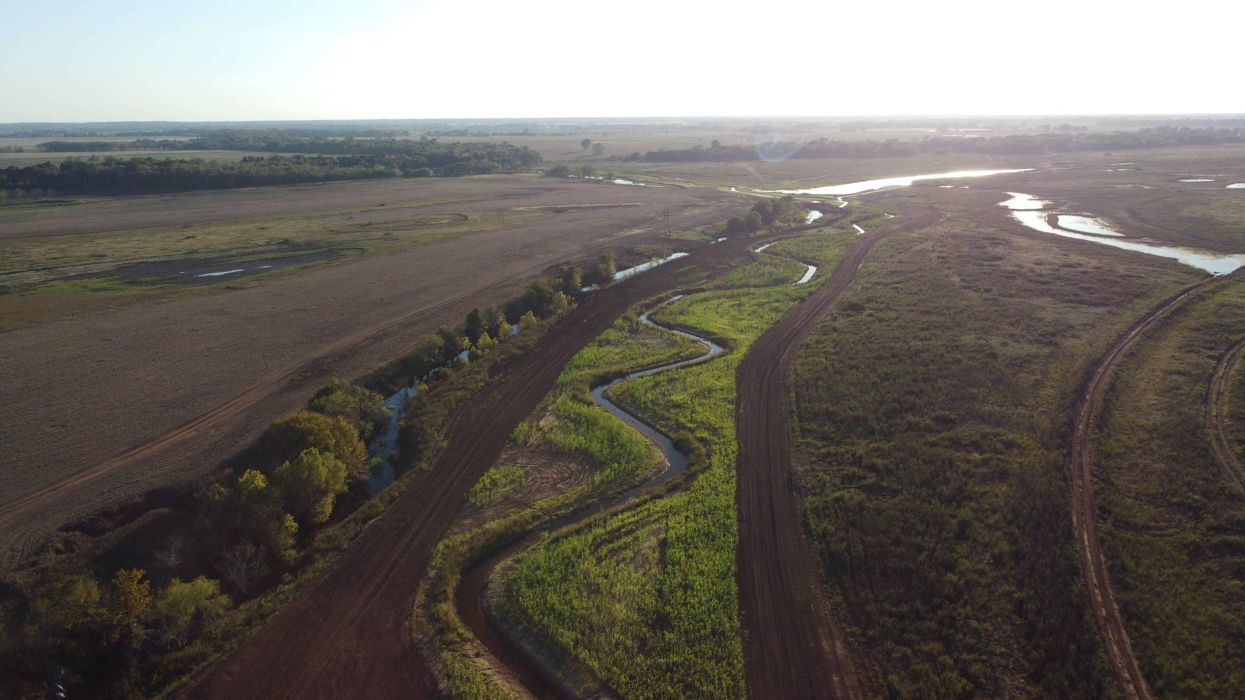 5 Restored Willow Branch looking upstream 102120