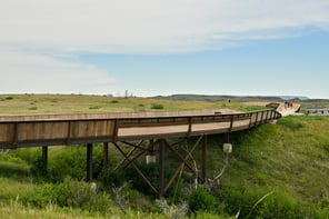 5 TRPL Bridge_Credit Threefold_web