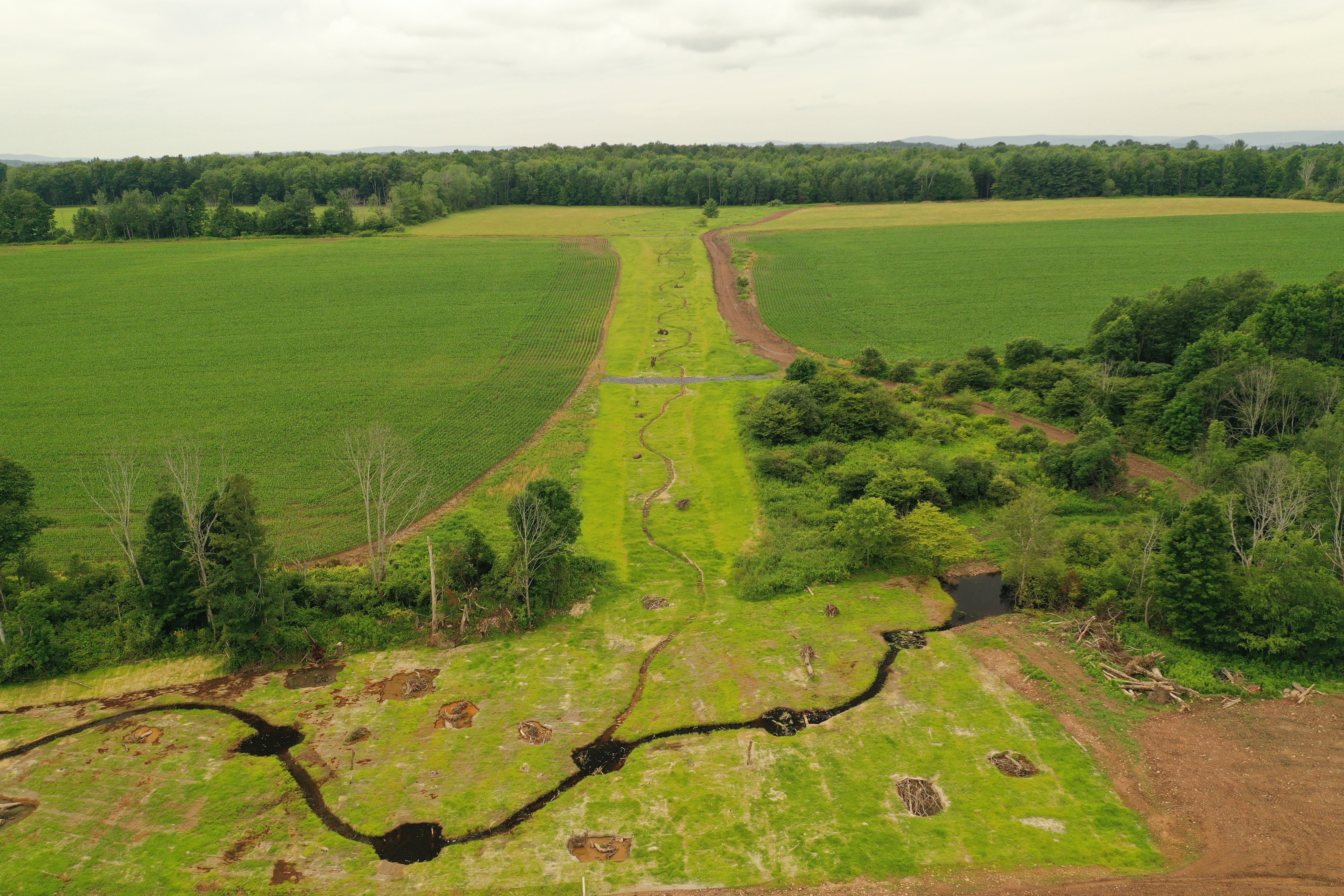 Babb Creek_Webinar Confirmation