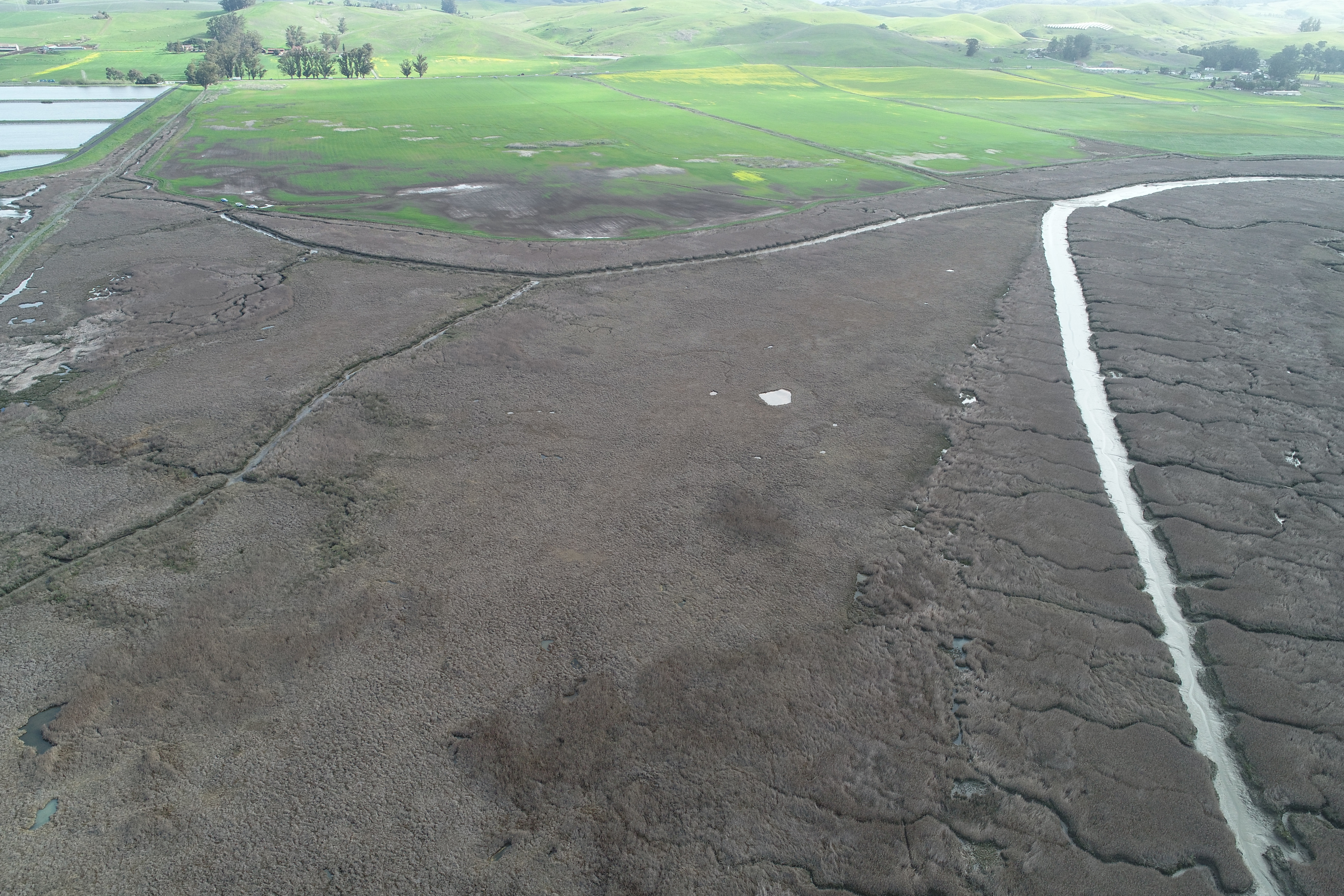 Introducing Halo Ranch: Part of a resilient future for San Francisco Estuary