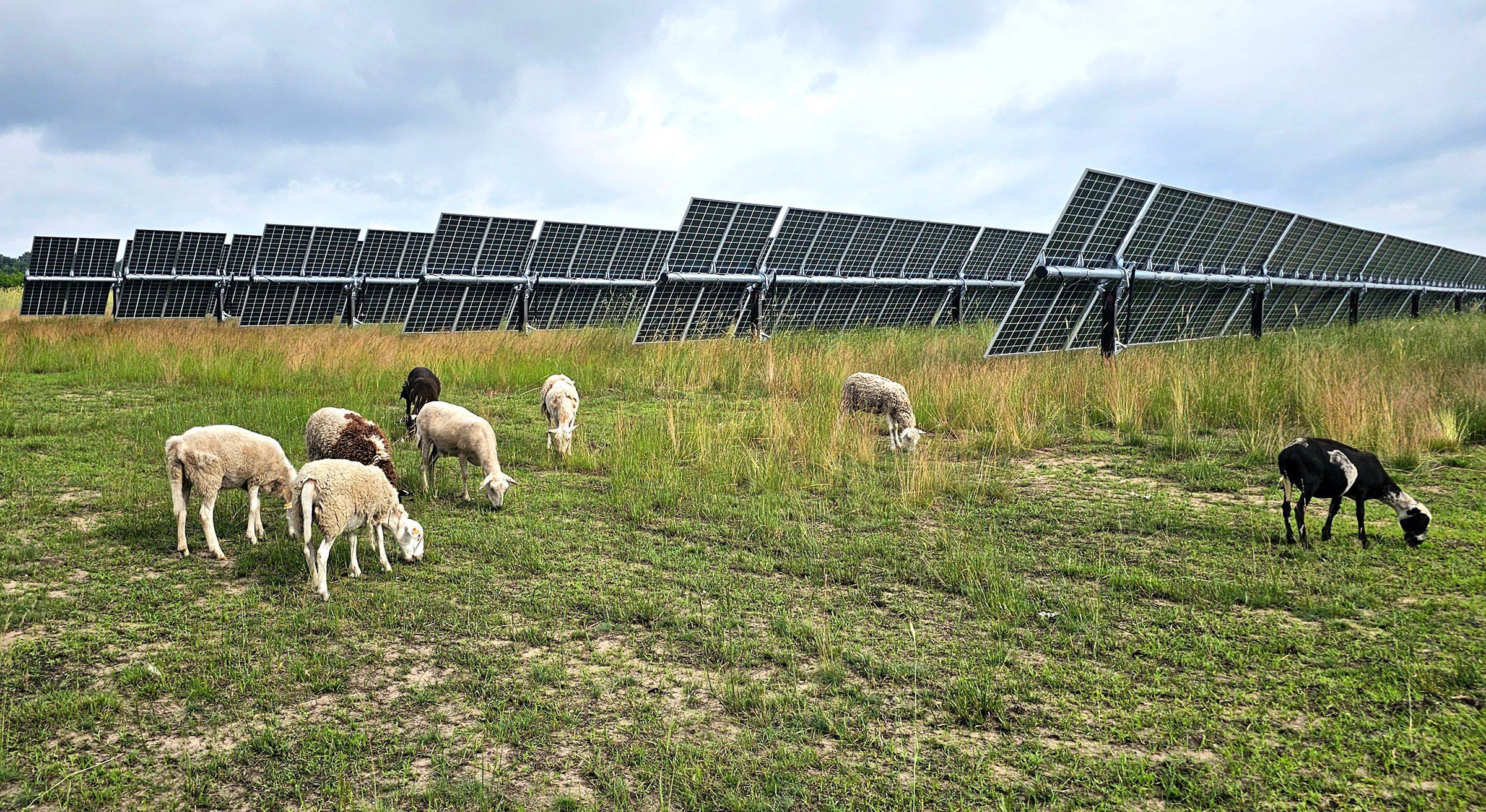 Mammoth Solar North 6