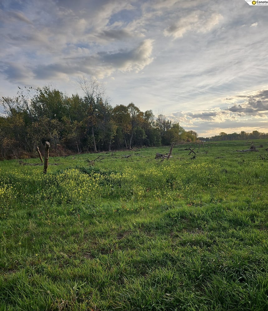Mitigation established, re-wilding initiated, and maintenance and monitoring underway