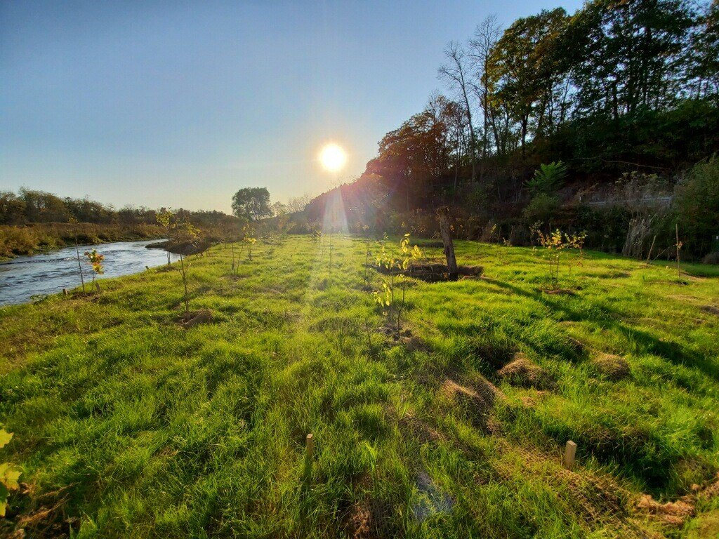 Dam removal for mitigation crediting