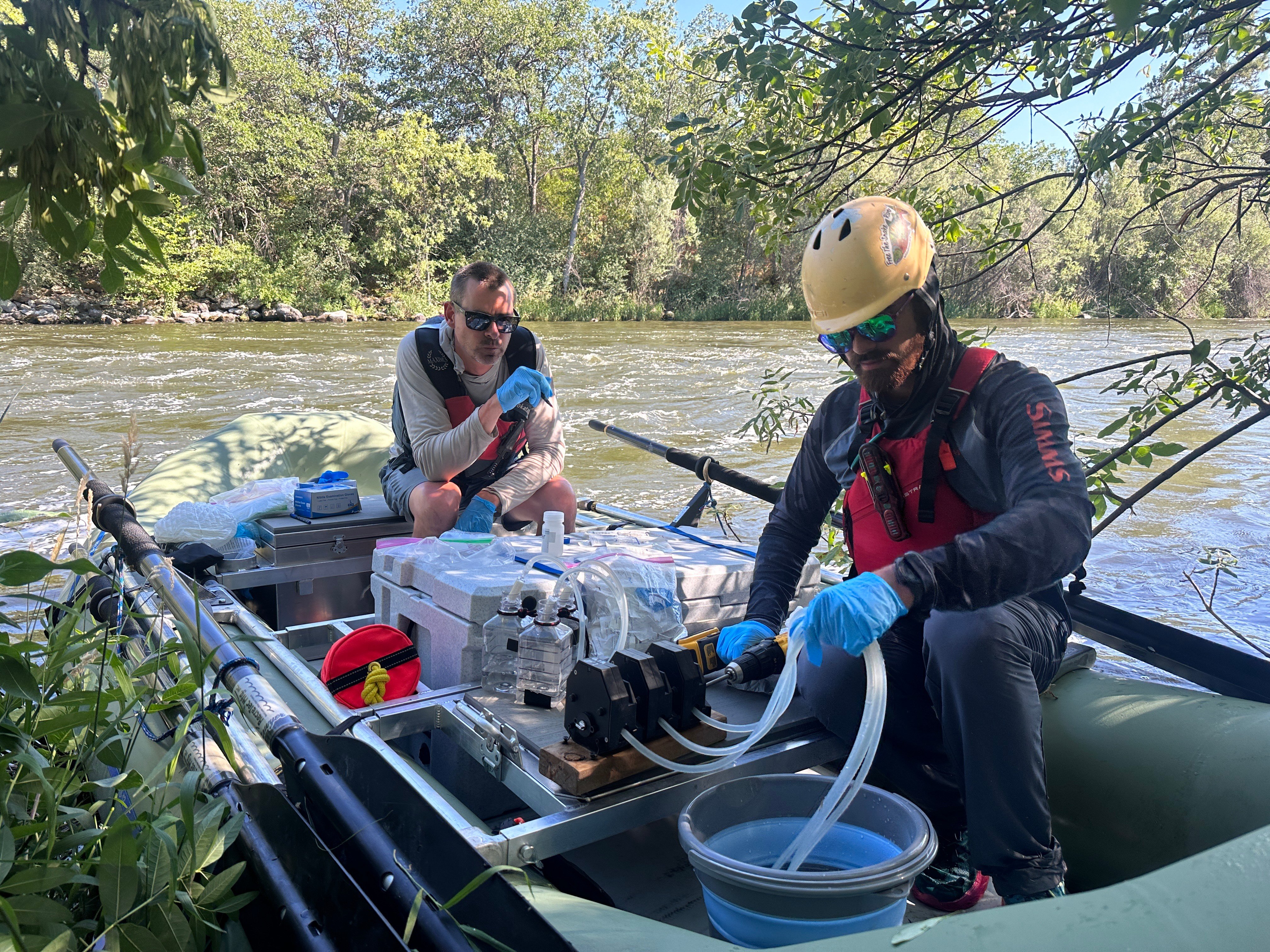 RES genetic sampling along Klamath River