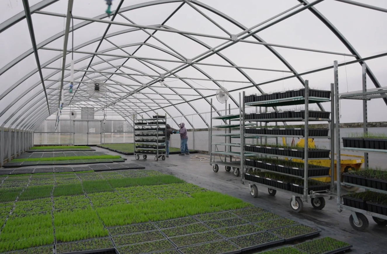 TRPL Plants_Greenhouse