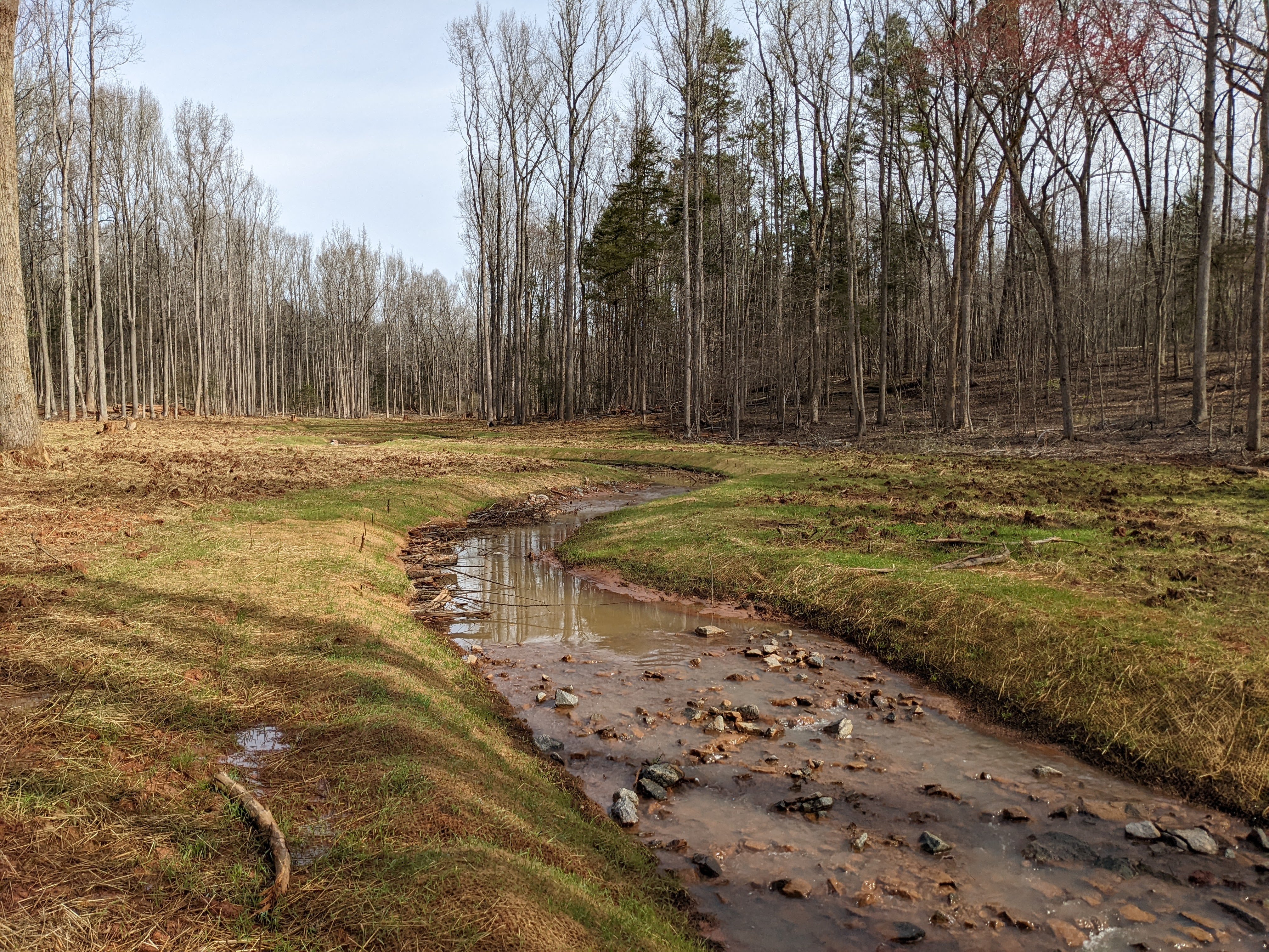 Wrenn Tree PRM_post construction 2022