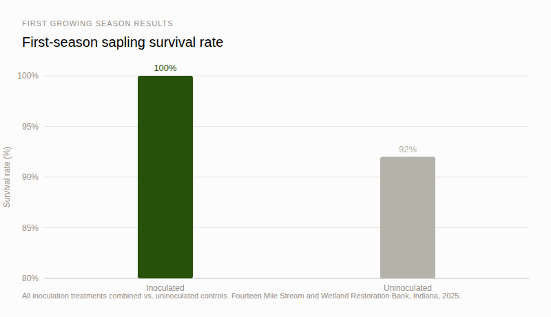 survival_rate_comparison (2)