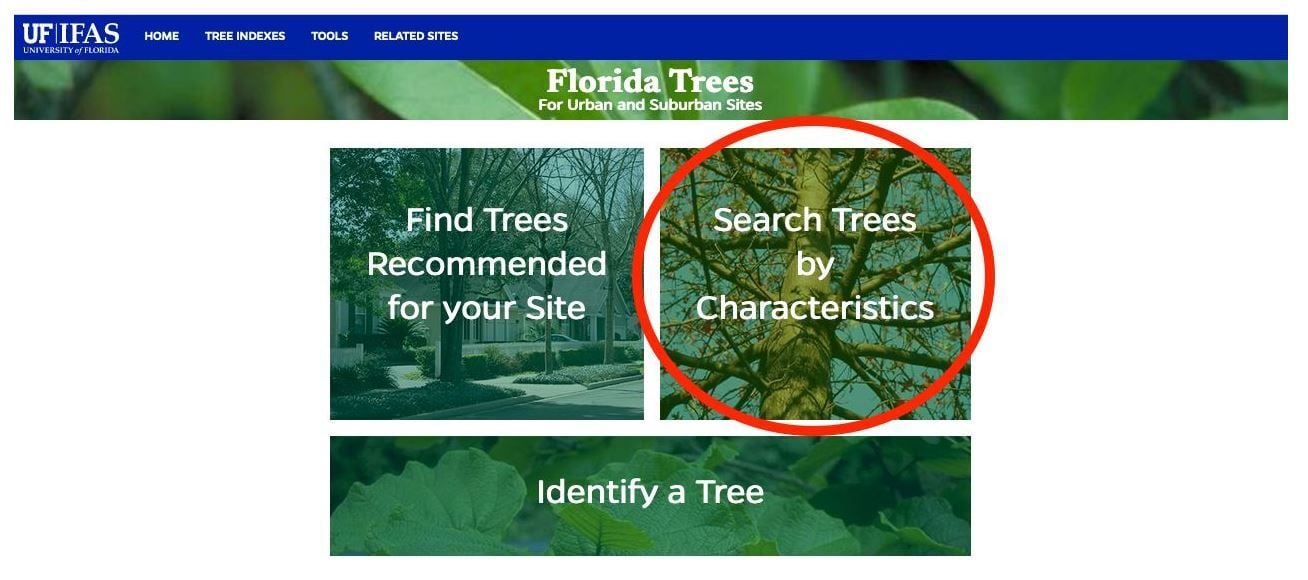 Florida Tree Selector Tool