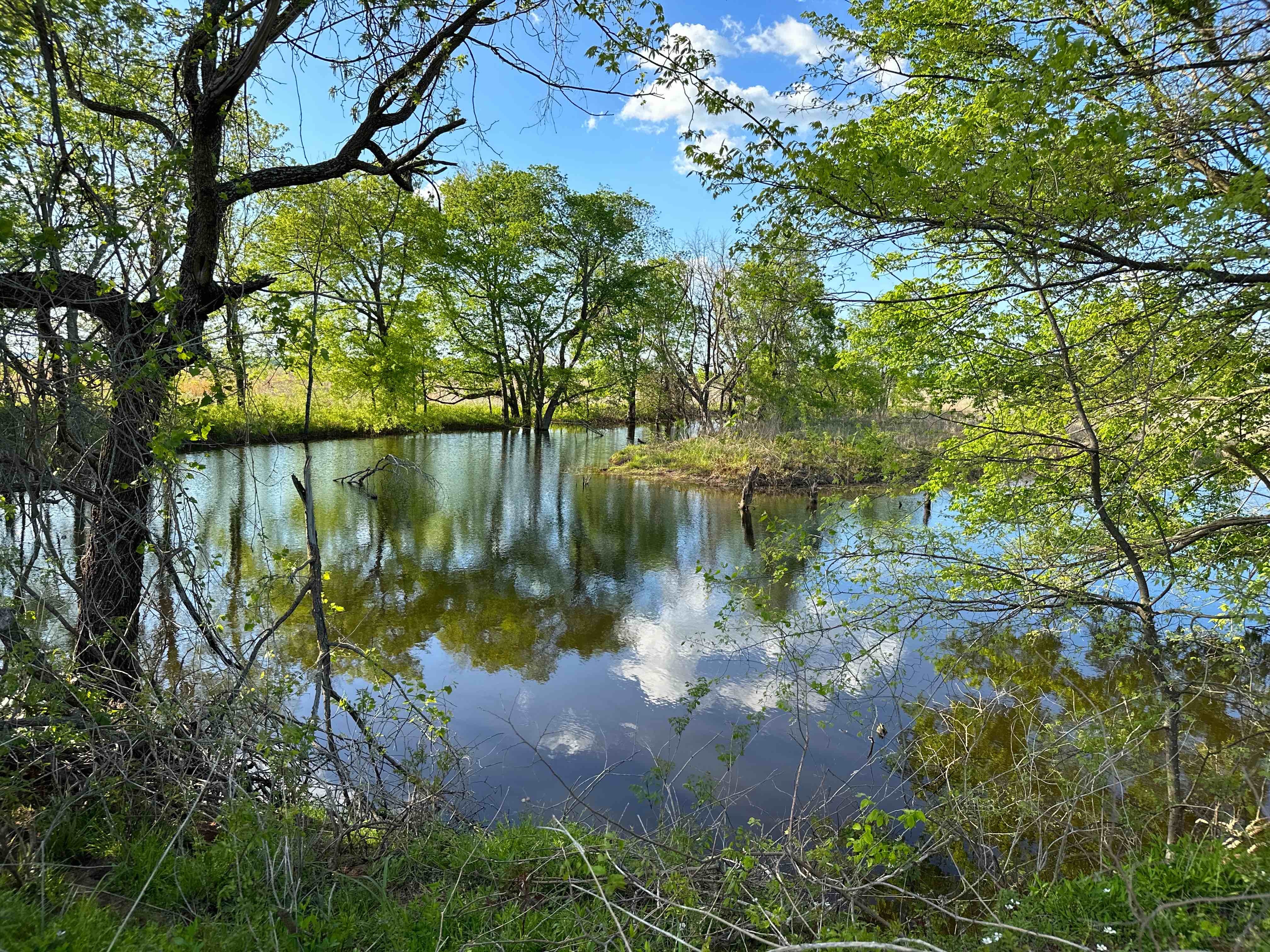 Wetland mitigation credits for data centers