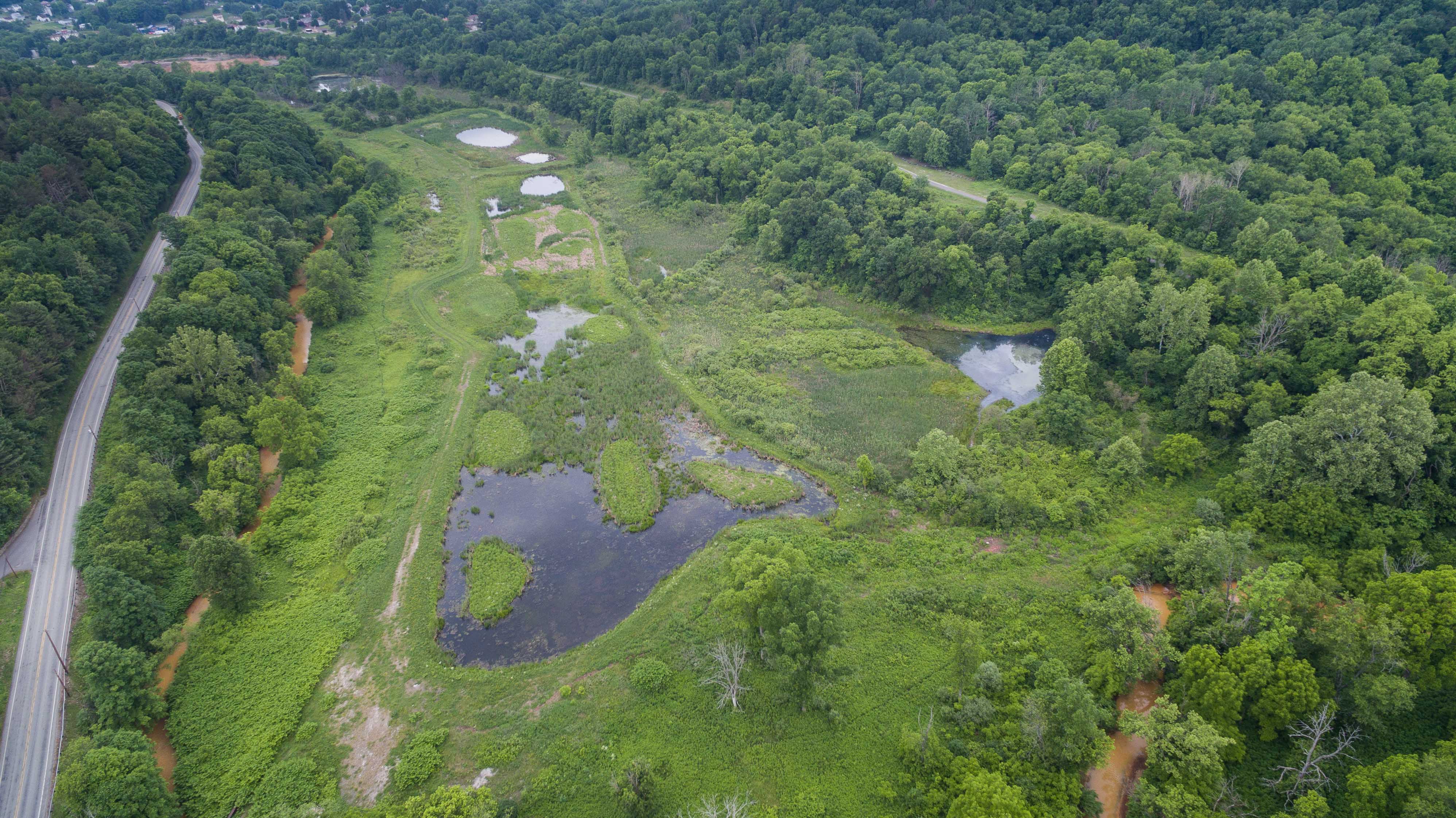 What is landscape-scale restoration?