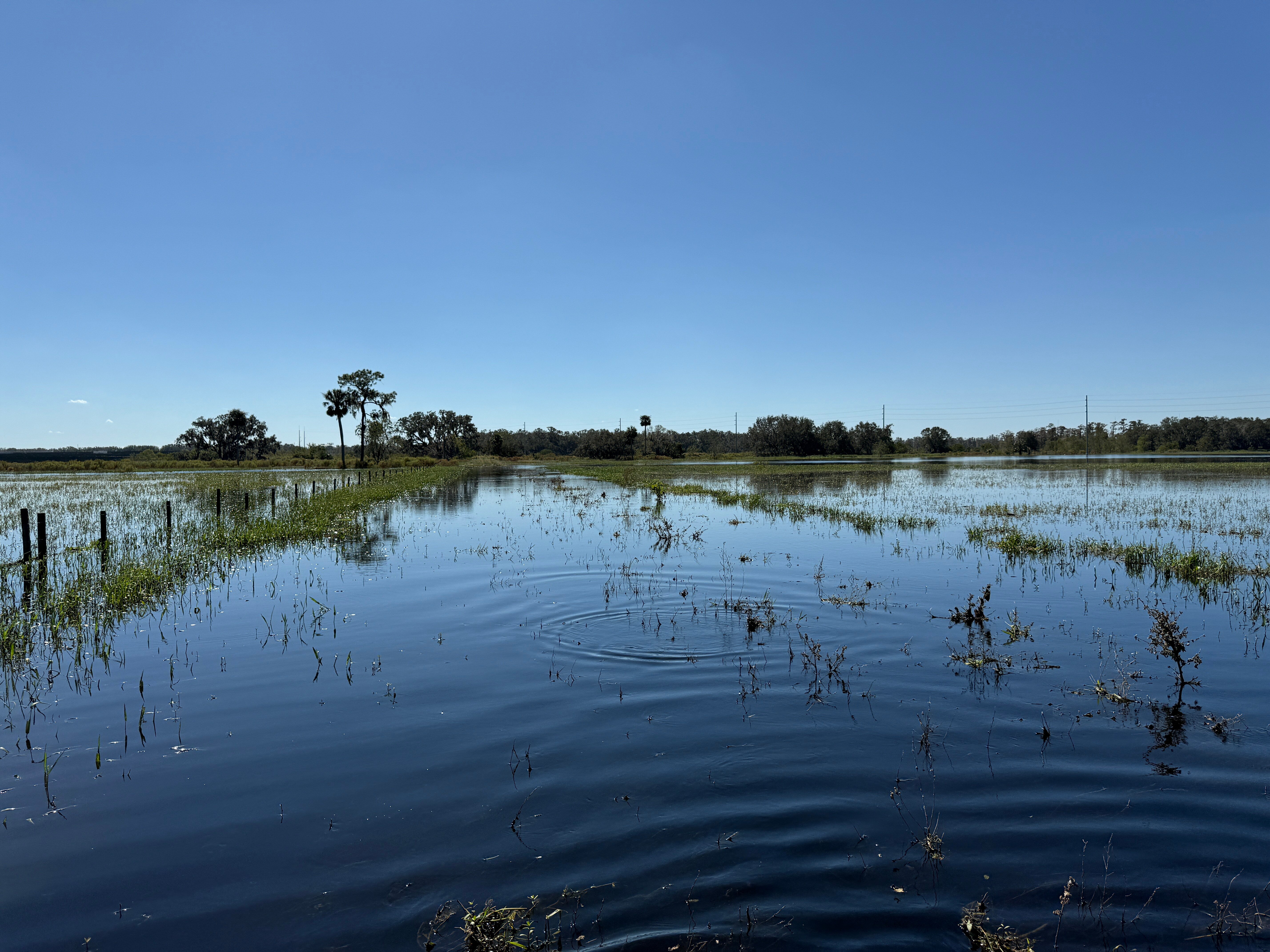 The key to scaling up Florida’s ecosystem restoration: Public-private partnerships
