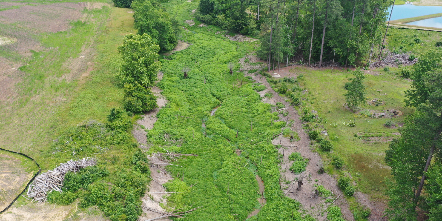 Dam removal as compensatory mitigation: How it works and what it takes