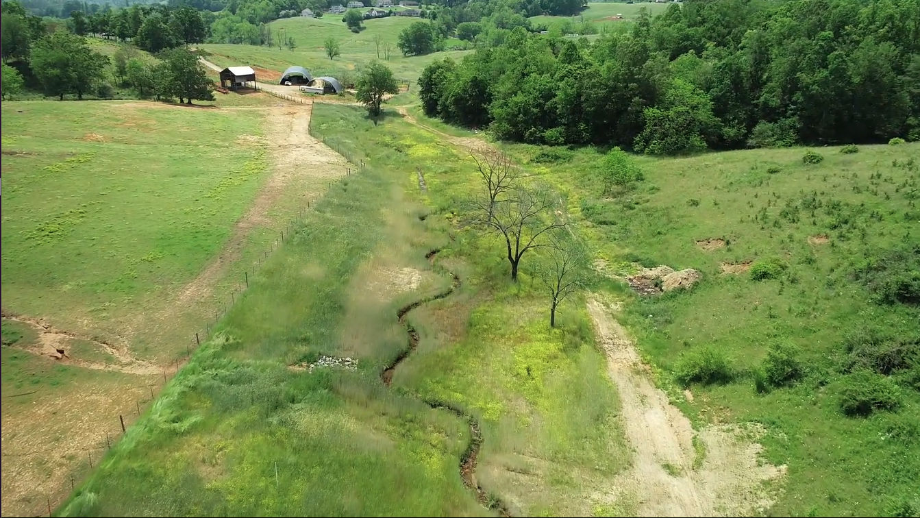 Carolina Bison mitigation project storymap