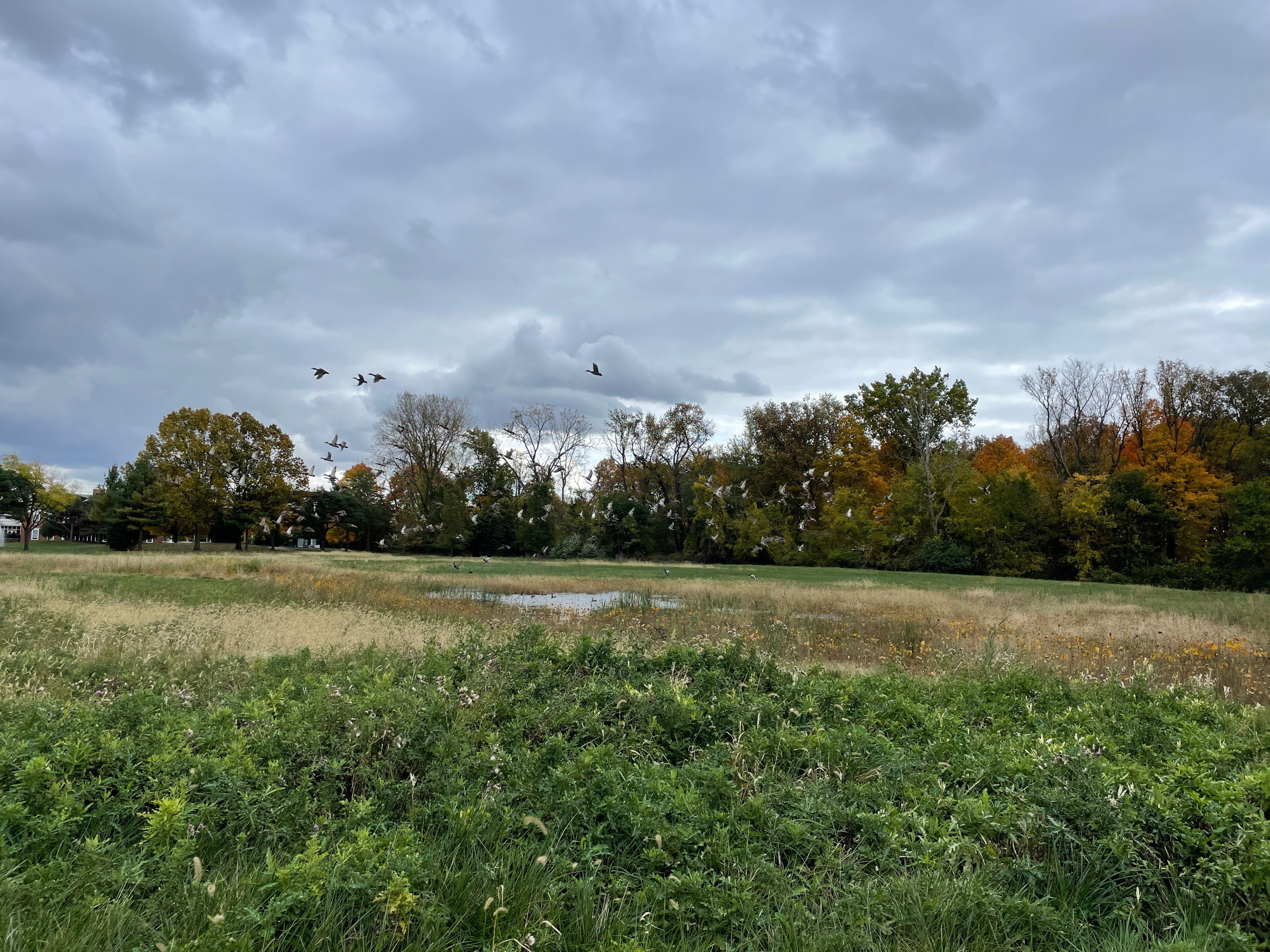 Transforming the Landscape: The University of Toledo Center for Alumni and Donor Engagement Restoration Project in Ohio