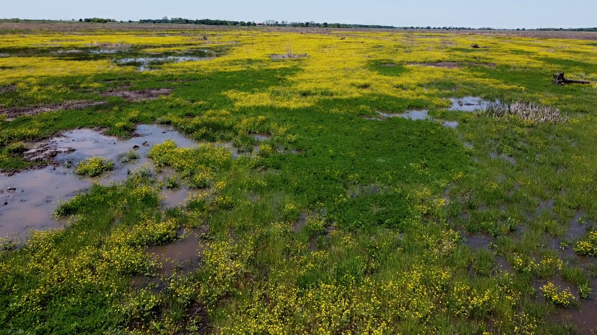 Year three at Bois d’Arc Lake Mitigation restoration: Learning lessons at watershed-scale