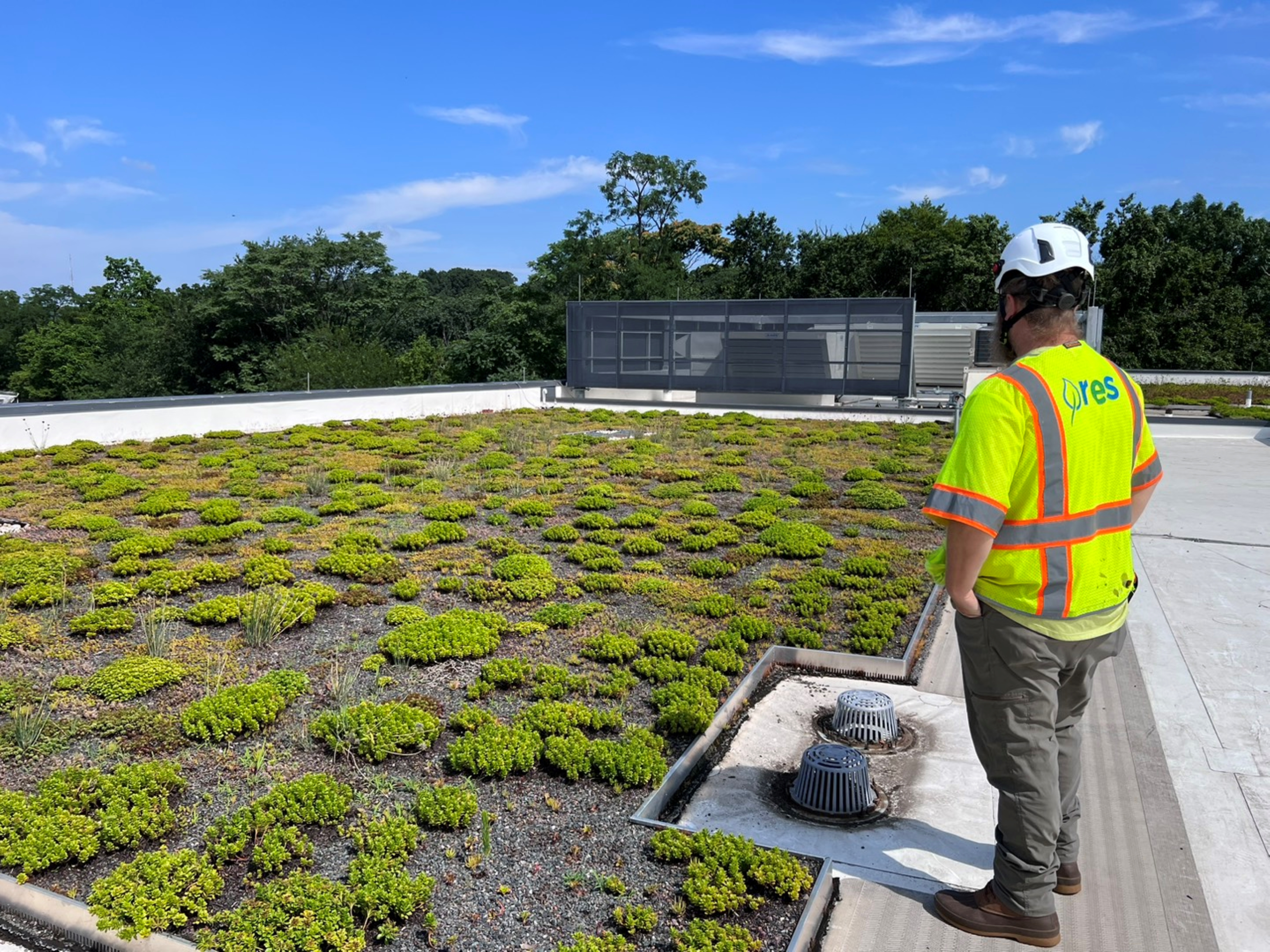 Data center permitting delays: How nature-based solutions accelerate approvals